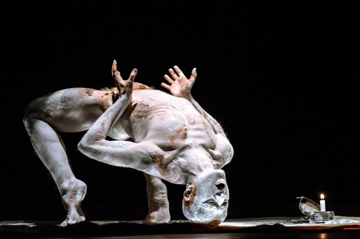 2014 herrera fred butoh 1