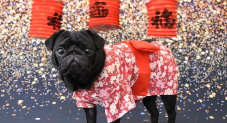 5353FB85-1D85-4F47-B0F1-09E7562C0C1C-12546-00000BE3655C235A