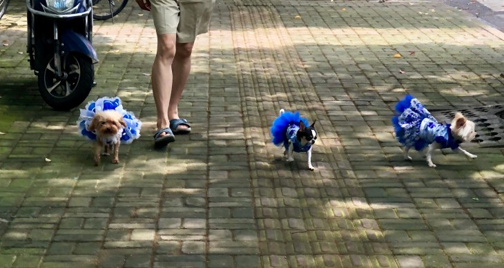 Caroline Boudehen - carnetsdeshanghai.com - ma rue ce village d'irréductibles chinois 13