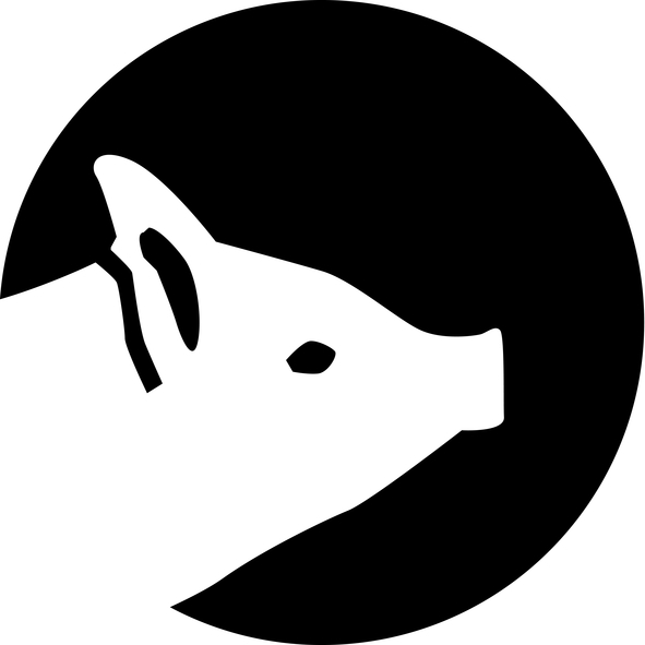 carnetsdeshanghai.com_caroline boudehen