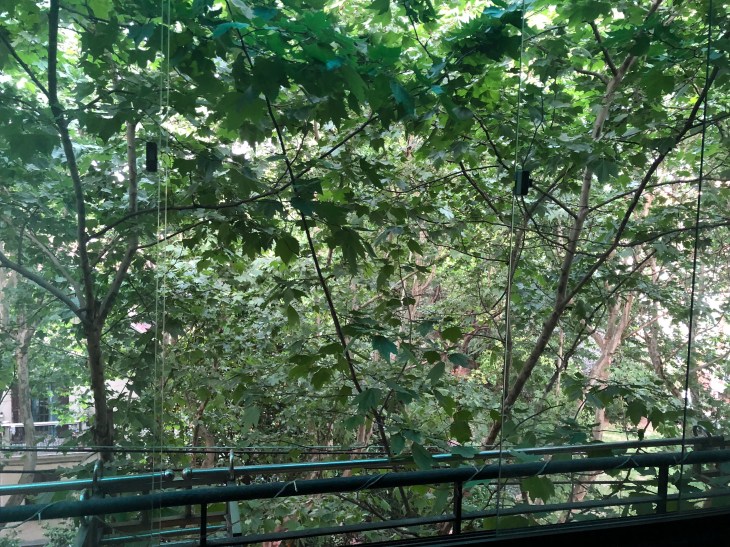 carnetsdeshanghai.com_caroline boudehen 8