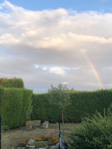 carnetsdeshanghai.com_caroline boudehen 6